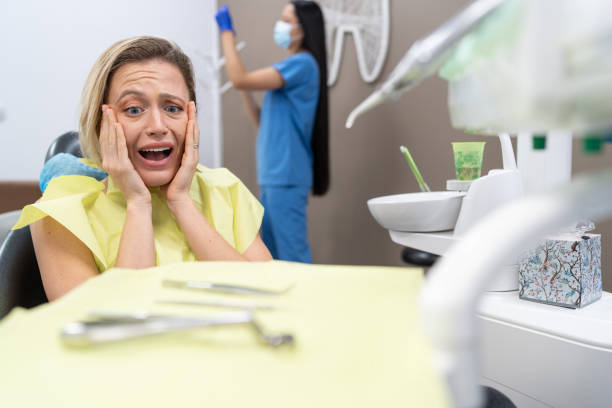 Best Emergency Dental Care for Broken or Chipped Teeth in Meadow Les, AK